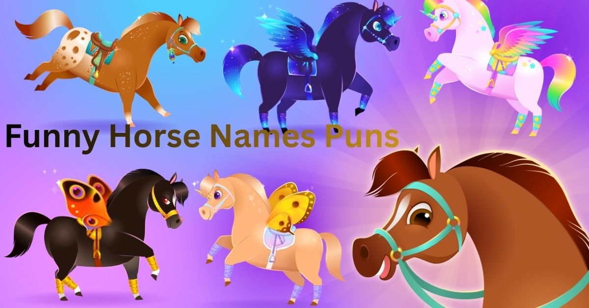 Funny Horse Names Puns