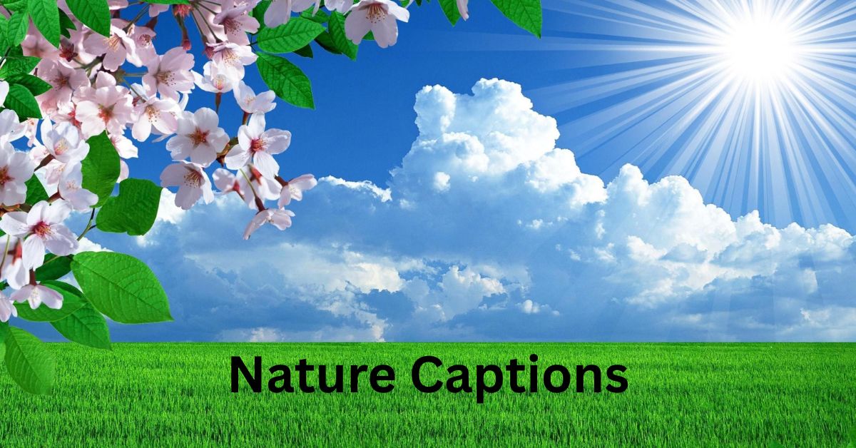 Nature Captions